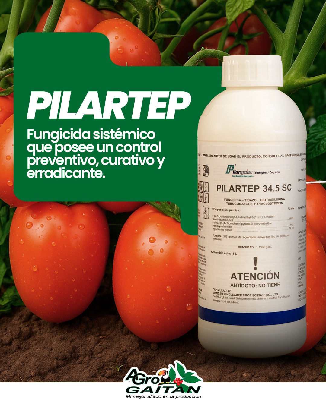 Agrocomercial - 🛡🍃 Pilartep – Protección efectiva contra enfermedades 🍃 ...