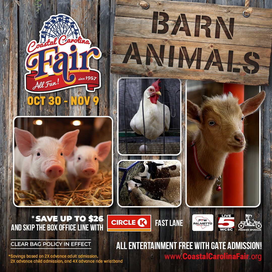 Coastal - 🐮🐷🐔 Meet the stars of the farm! The Barn Animals exhibit ...
