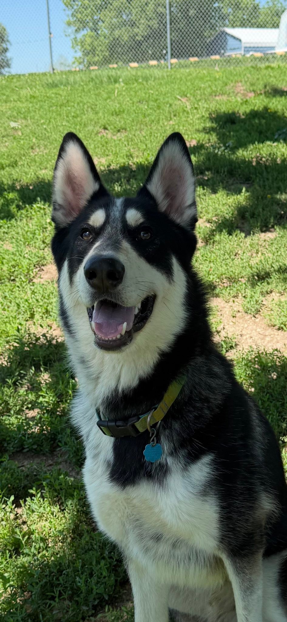 RC Kennels