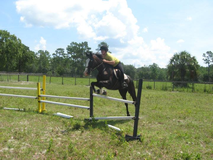 Little River Ranch Equestrian Services | Ruskin FL