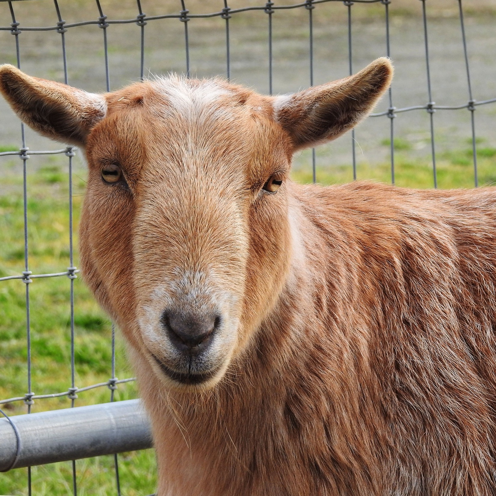 Jasper Ridge Farm added a new photo. - Jasper Ridge Farm