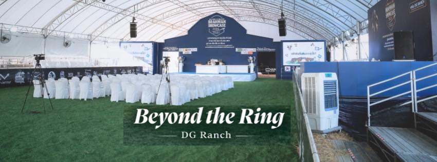 DG Ranch - Brahman &... - DG Ranch - Brahman & Beefmaster