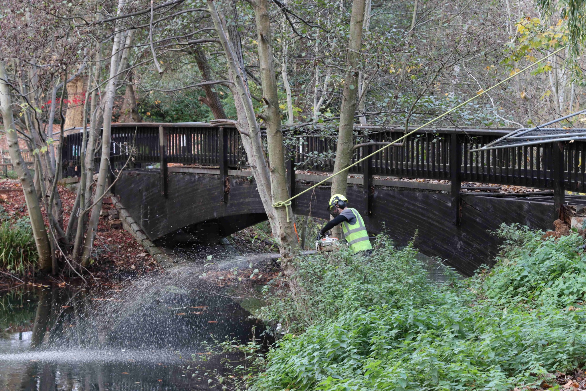 Bromley - Work to replace the much loved bridge across the lake in ...