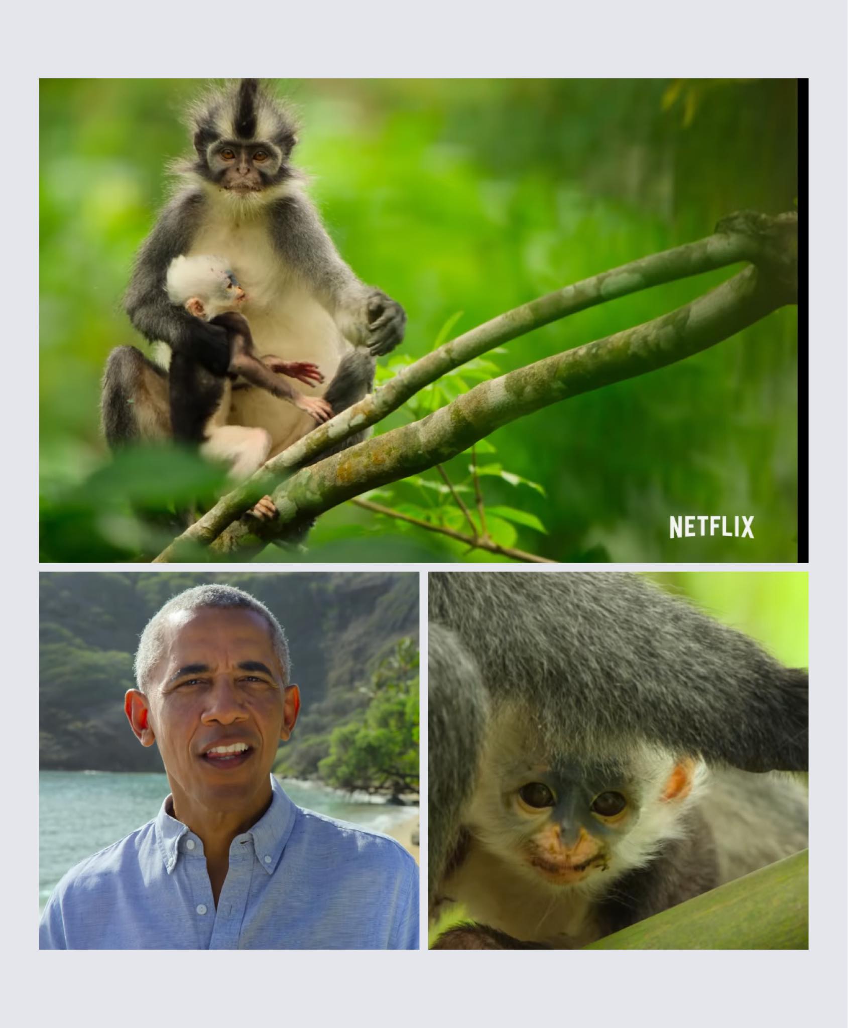 Former US president, Barack... - Partnerships For Protection