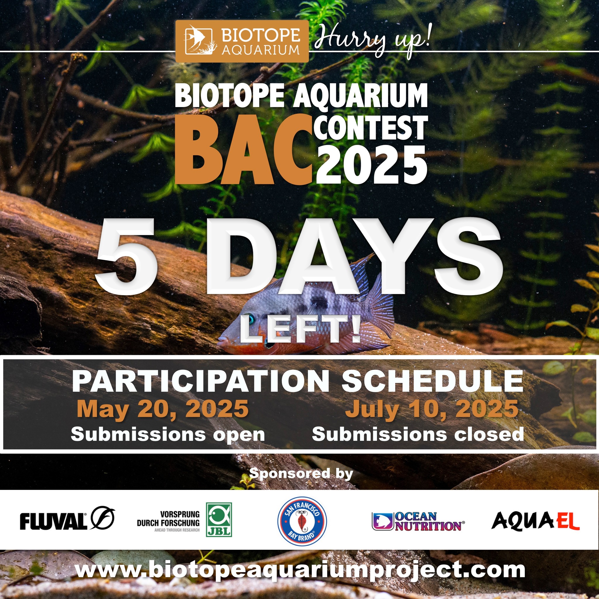 Curated visual reference: Biotope Aquarium Project Added Photo Inspiration