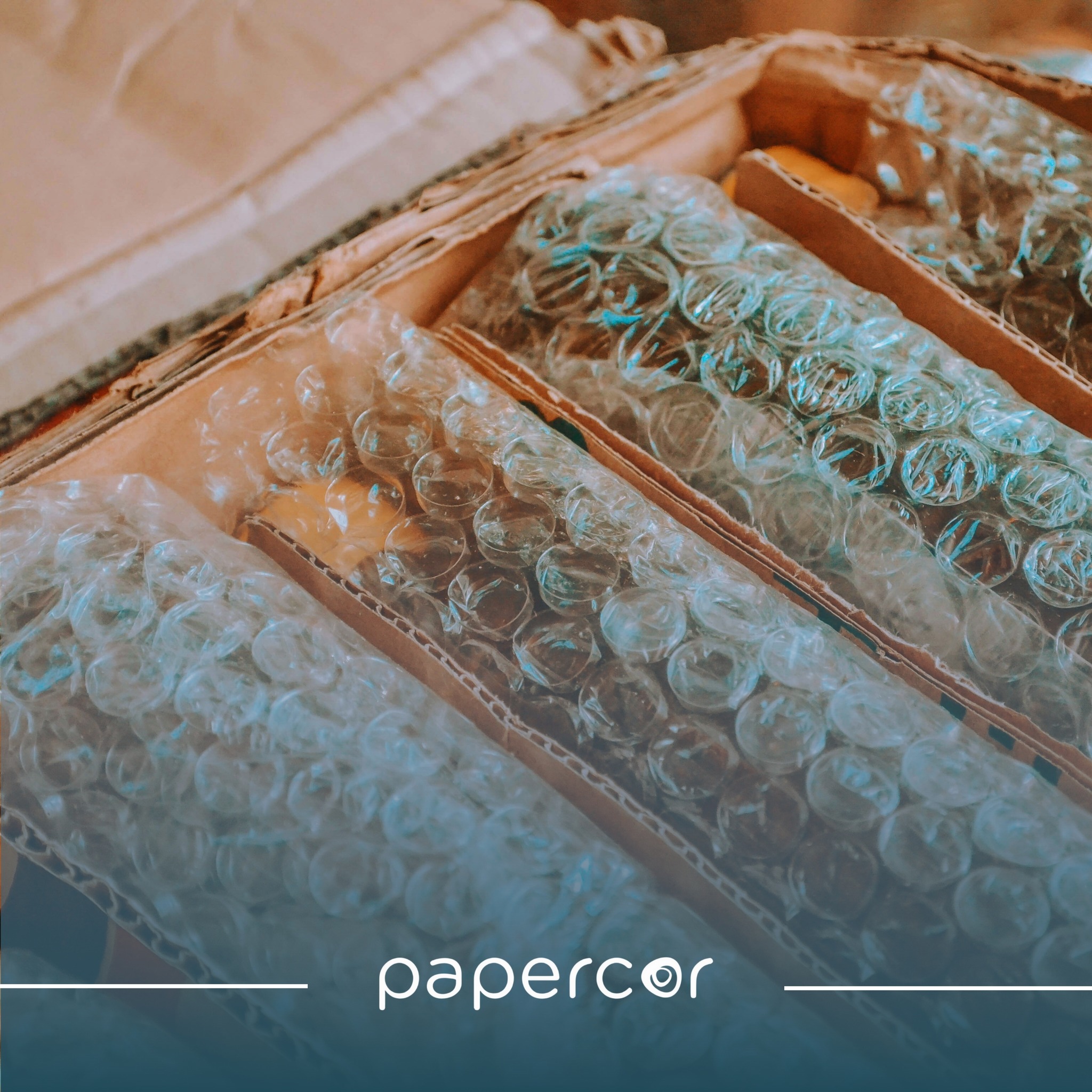 Papercor Holdings