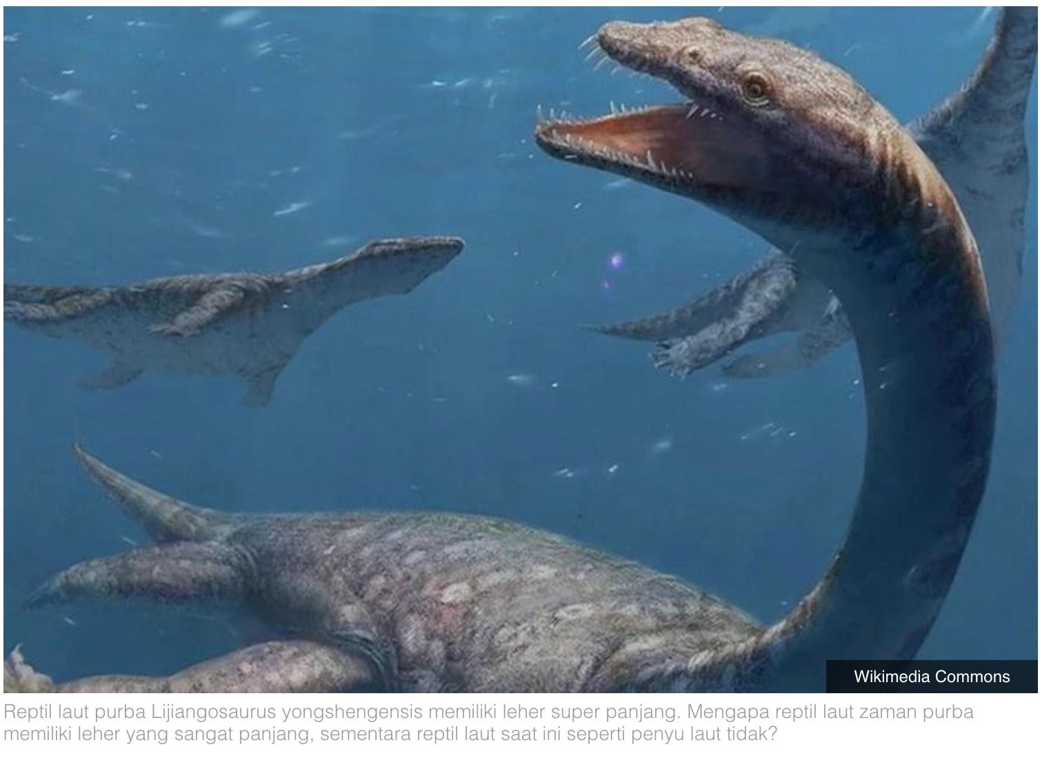 National - Tim paleontolog dari Institute of Vertebrate Paleontology ...