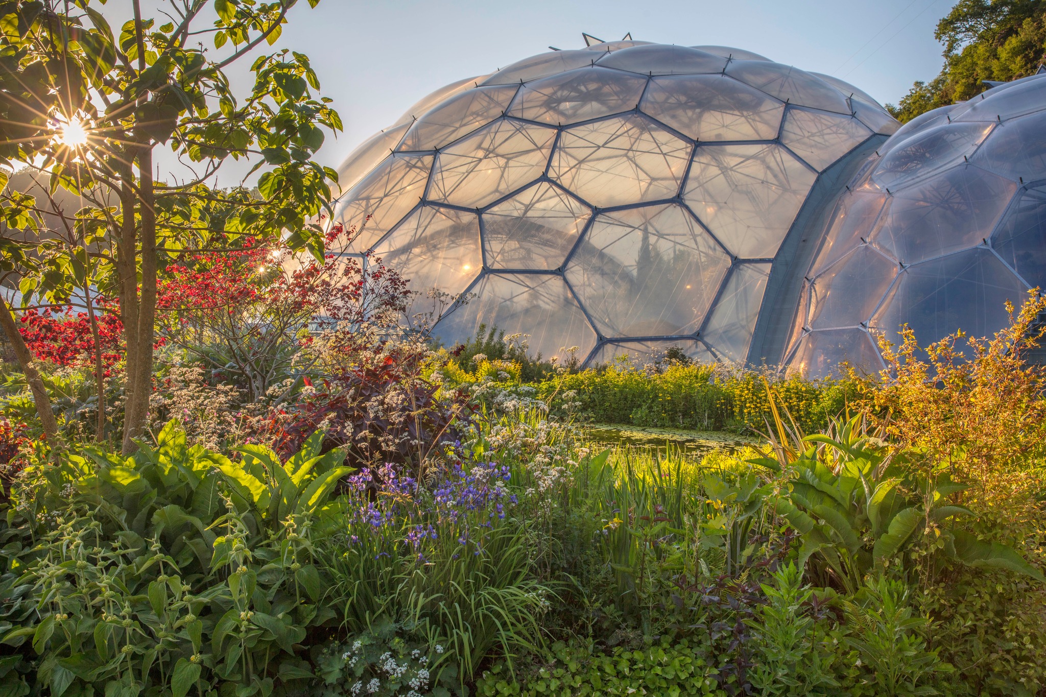 Meet the 18 new RHS... - RHS - Royal Horticultural Society | Facebook