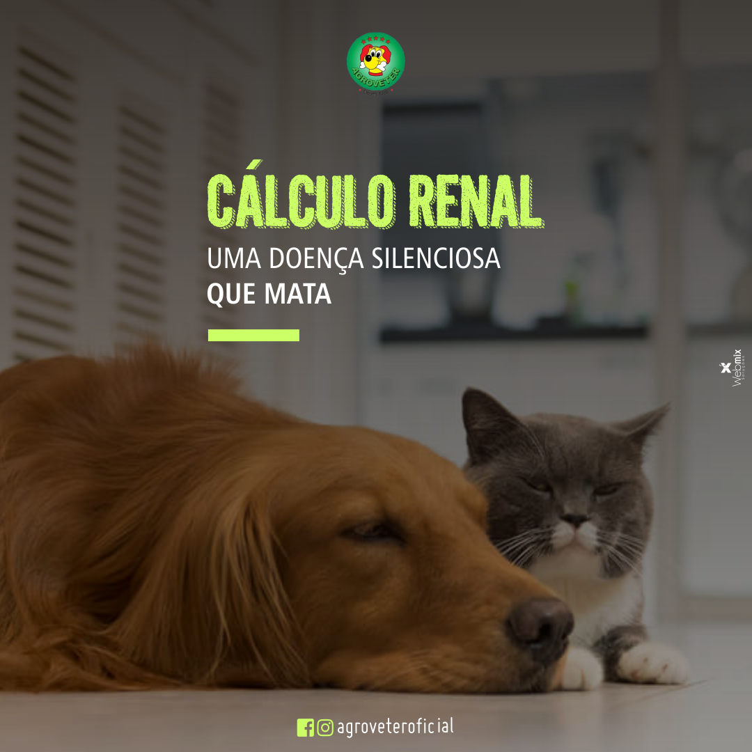 Agroveter - 📋Por se tratar de um problema crônico e progressivo, quanto ...