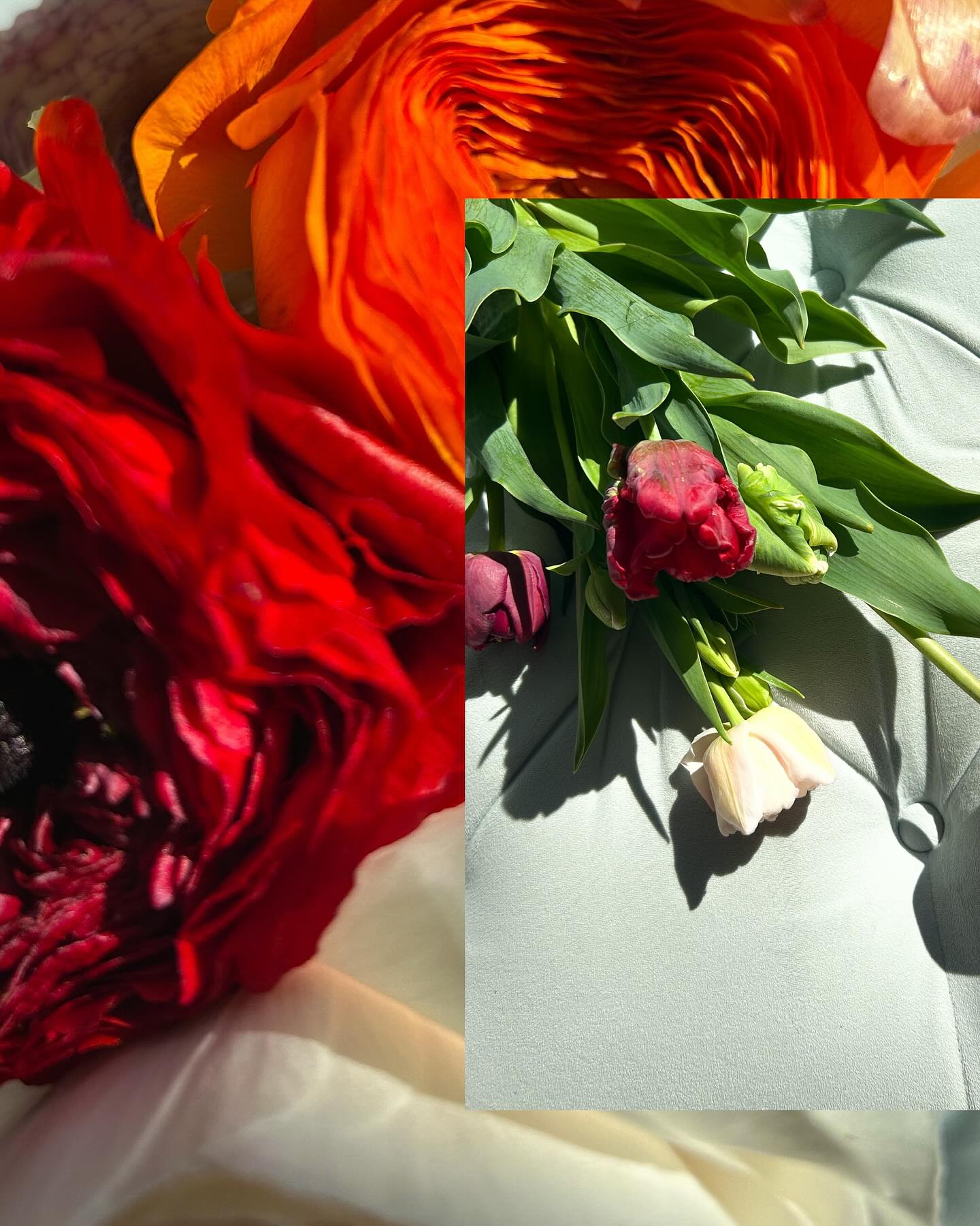 Pod Shop Flowers | New Hope PA