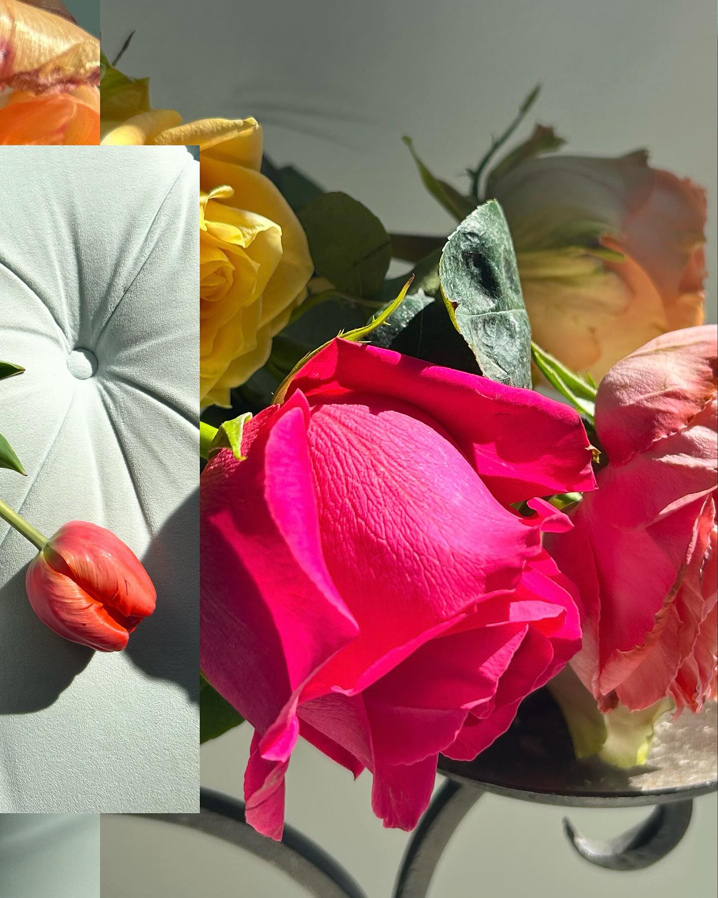 Pod Shop Flowers | New Hope PA