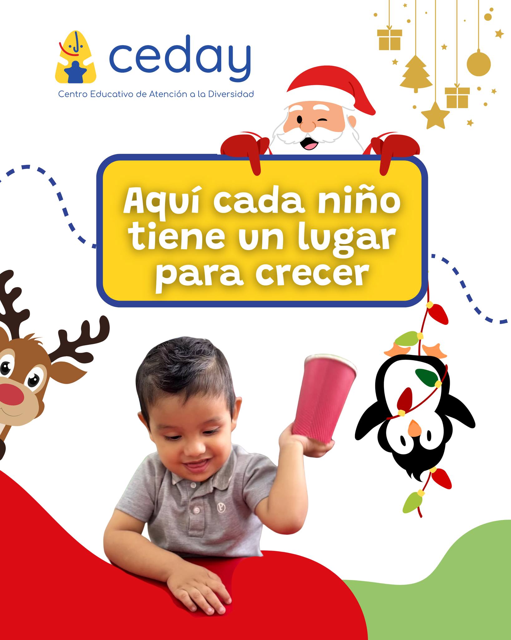 CEDA... - CEDAY 