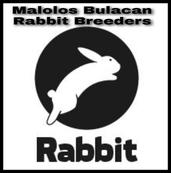 Malolos Bulacan Rabbit Breeders | Facebook