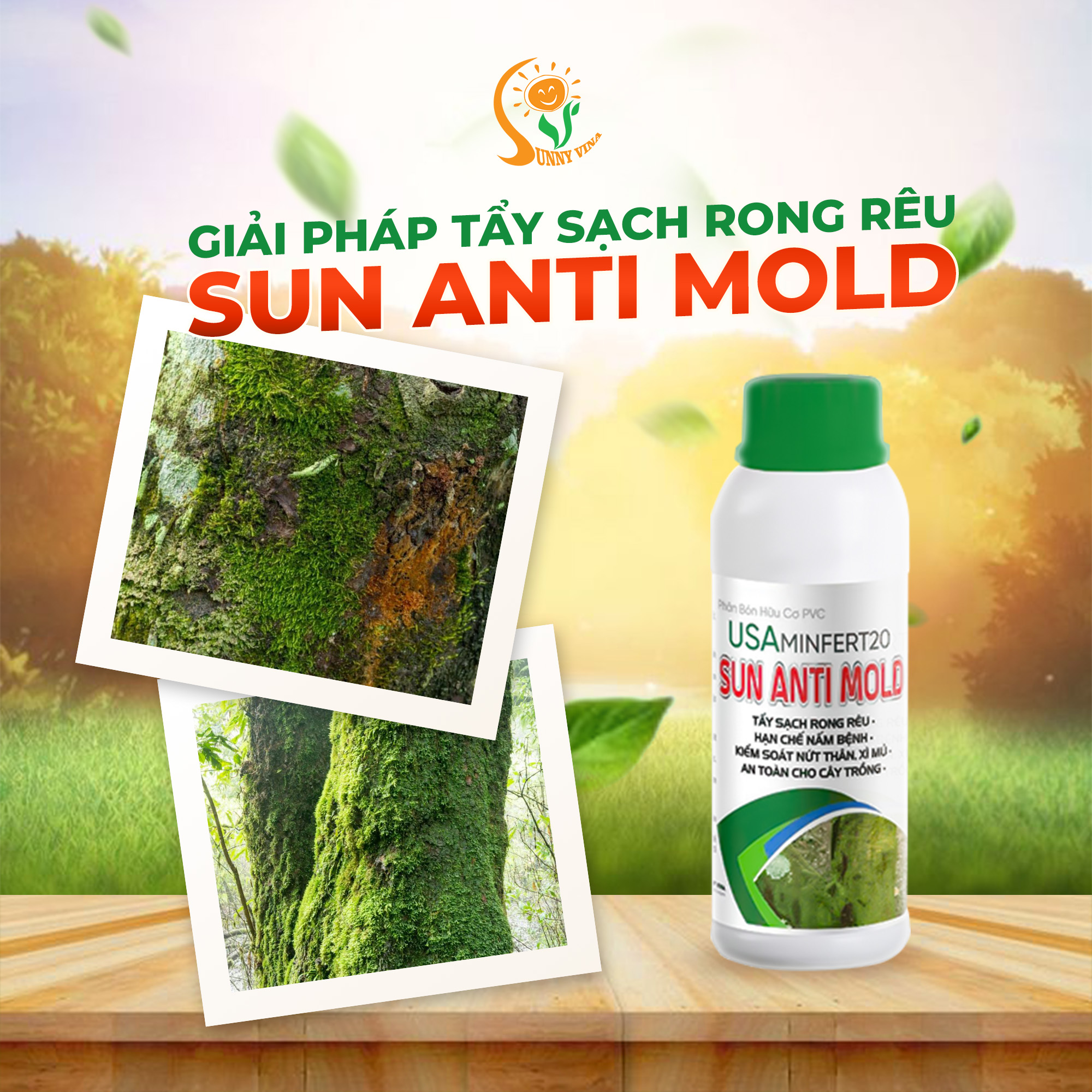 SUNNY - GIẢI PHÁP TẨY SẠCH RONG RÊU HIỆU QUẢ - SUN ANTI MOLD Với công ...