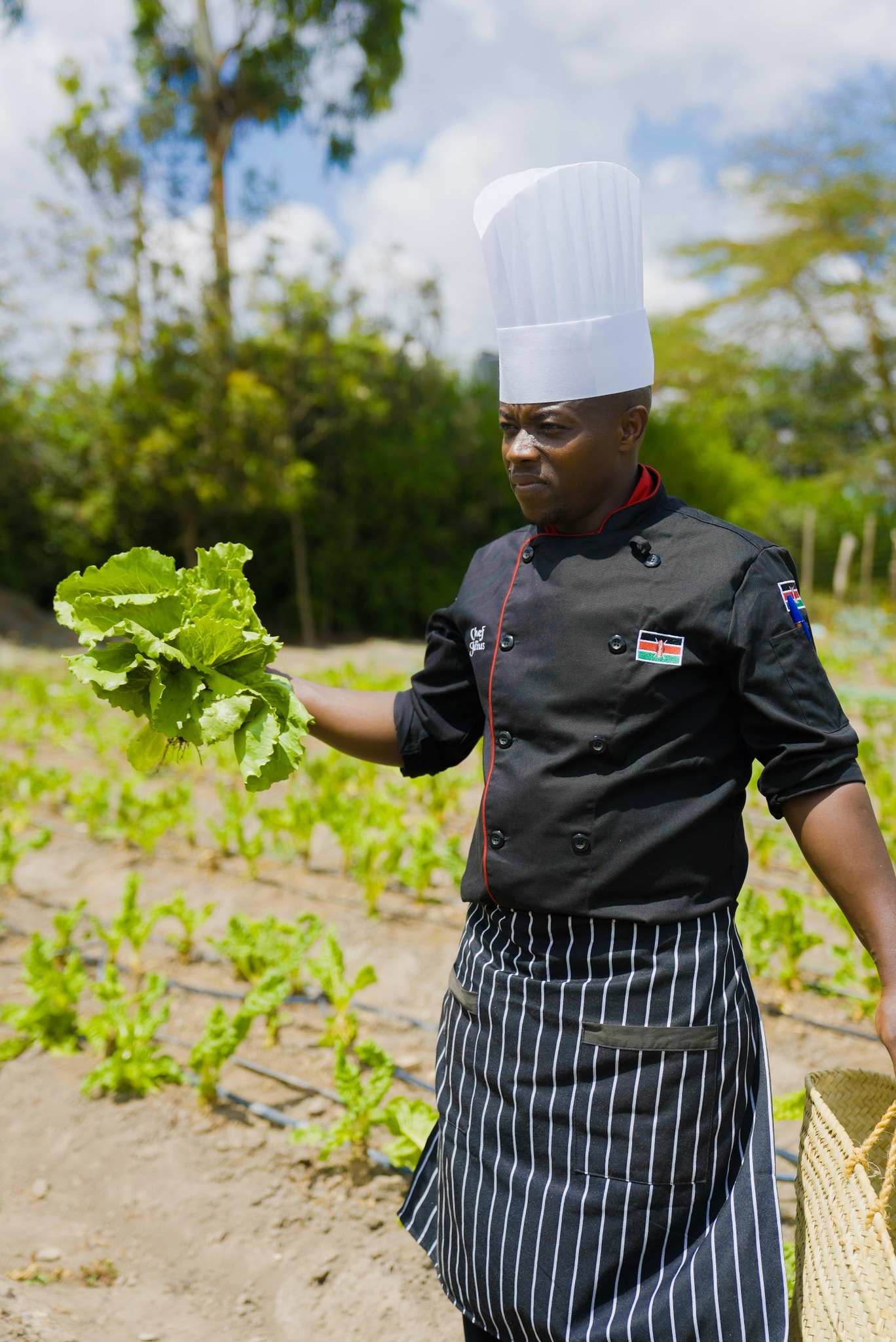 Freds - We have a farm, and 60% of our meals come straight from it ...