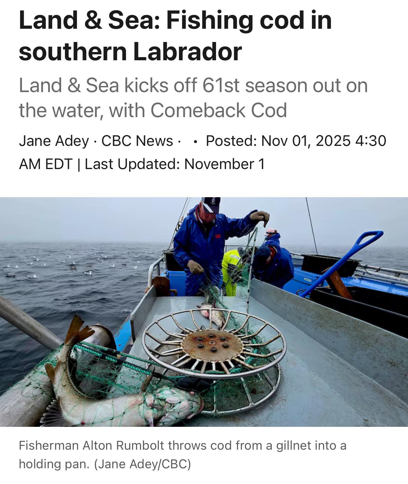 The Gulf - Land & Sea: Fishing cod in southern Labrador Land & Sea ...