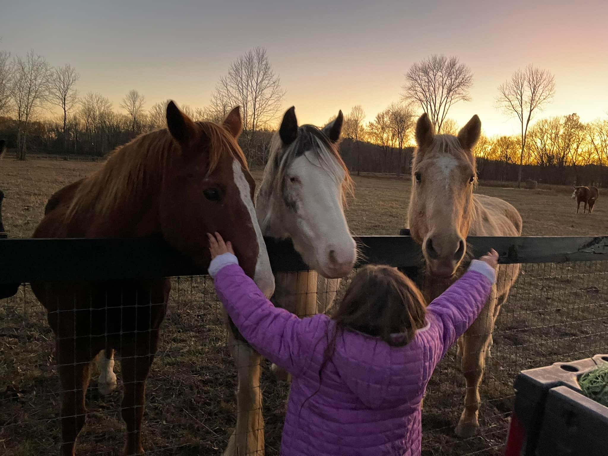 Still Water Stables | Hendersonville TN