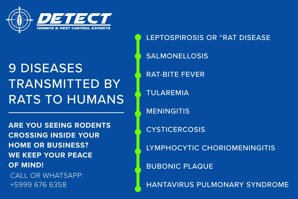Detect - 𝐅𝐑𝐄𝐄 𝐑𝐨𝐝𝐞𝐧𝐭𝐬 𝐢𝐧𝐬𝐩𝐞𝐜𝐭𝐢𝐨𝐧.‼️‼️ 𝐑𝐨𝐝𝐞𝐧𝐭𝐬 𝐜𝐨𝐧𝐭𝐫𝐨𝐥 𝐃𝐞𝐭𝐞𝐜𝐭 𝐂𝐮𝐫𝐚𝐜𝐚𝐨 ...