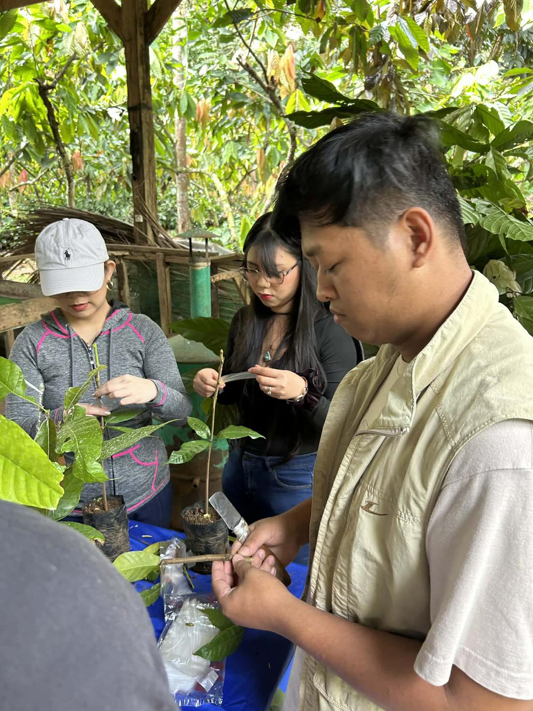 Rosit Cacao Farms & Banana Tissue Culture Laboratory | Davao City