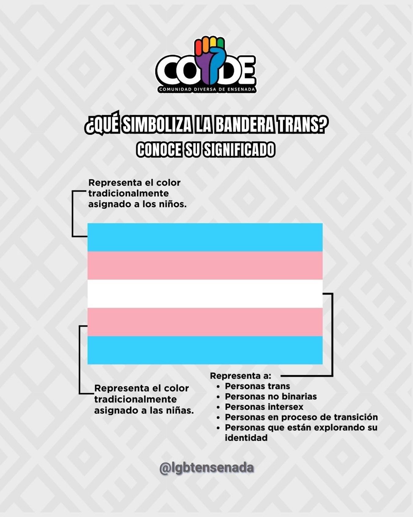 COMUNIDAD - ¿Qué significa la bandera trans?🏳️‍⚧️ El azul y el rosa ...