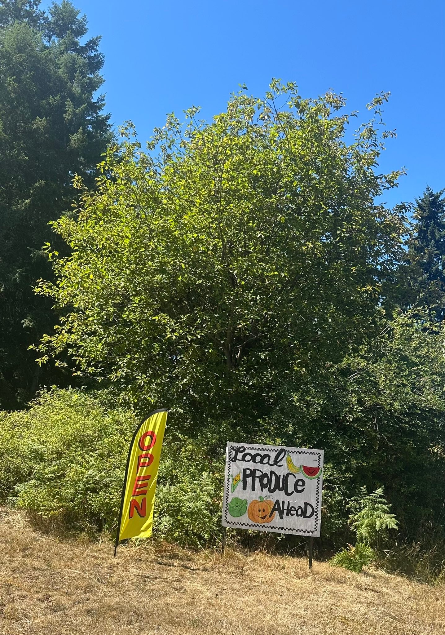 Greenwood Gardens | Elma WA