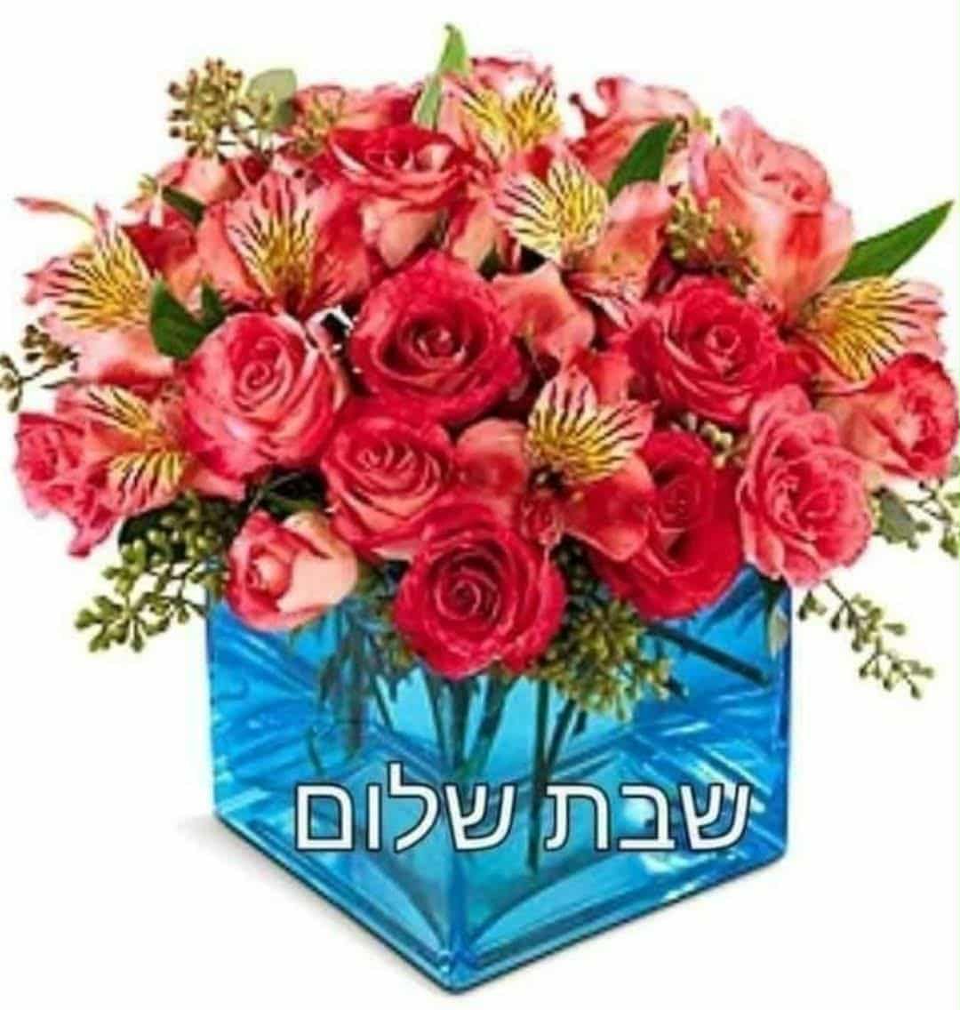 Albar - אוטומאניה 2025 בכל סניפי אלבר 🚗 חודש של טרייד אין - קונים את ...
