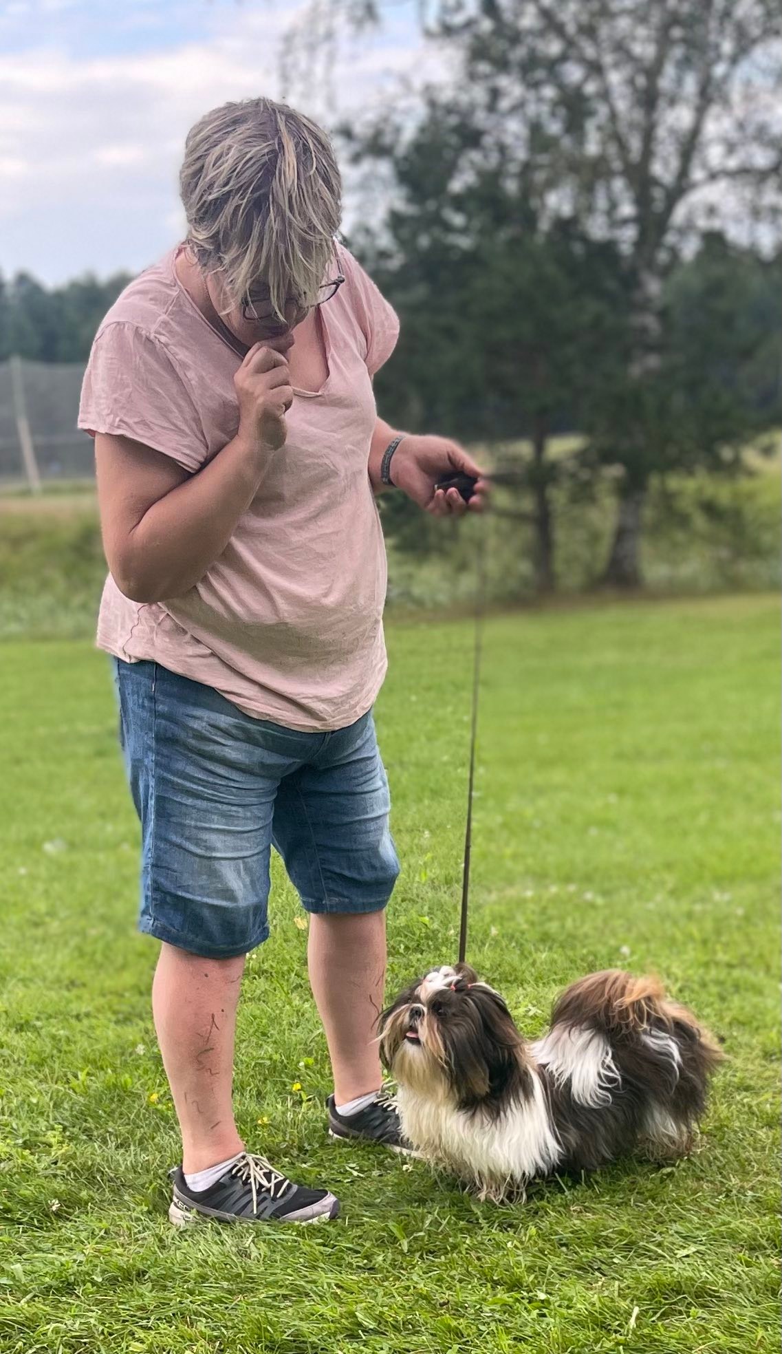 konsten-att-visa-hund-p-hundutst-llning-ringtr-ning-svenska