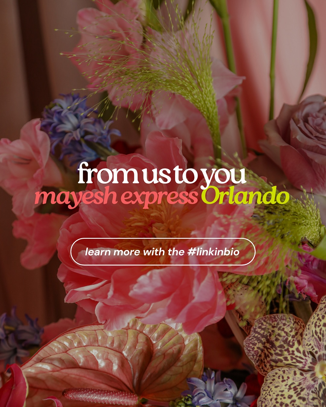 Mayesh Wholesale Florist added... - Mayesh Wholesale Florist