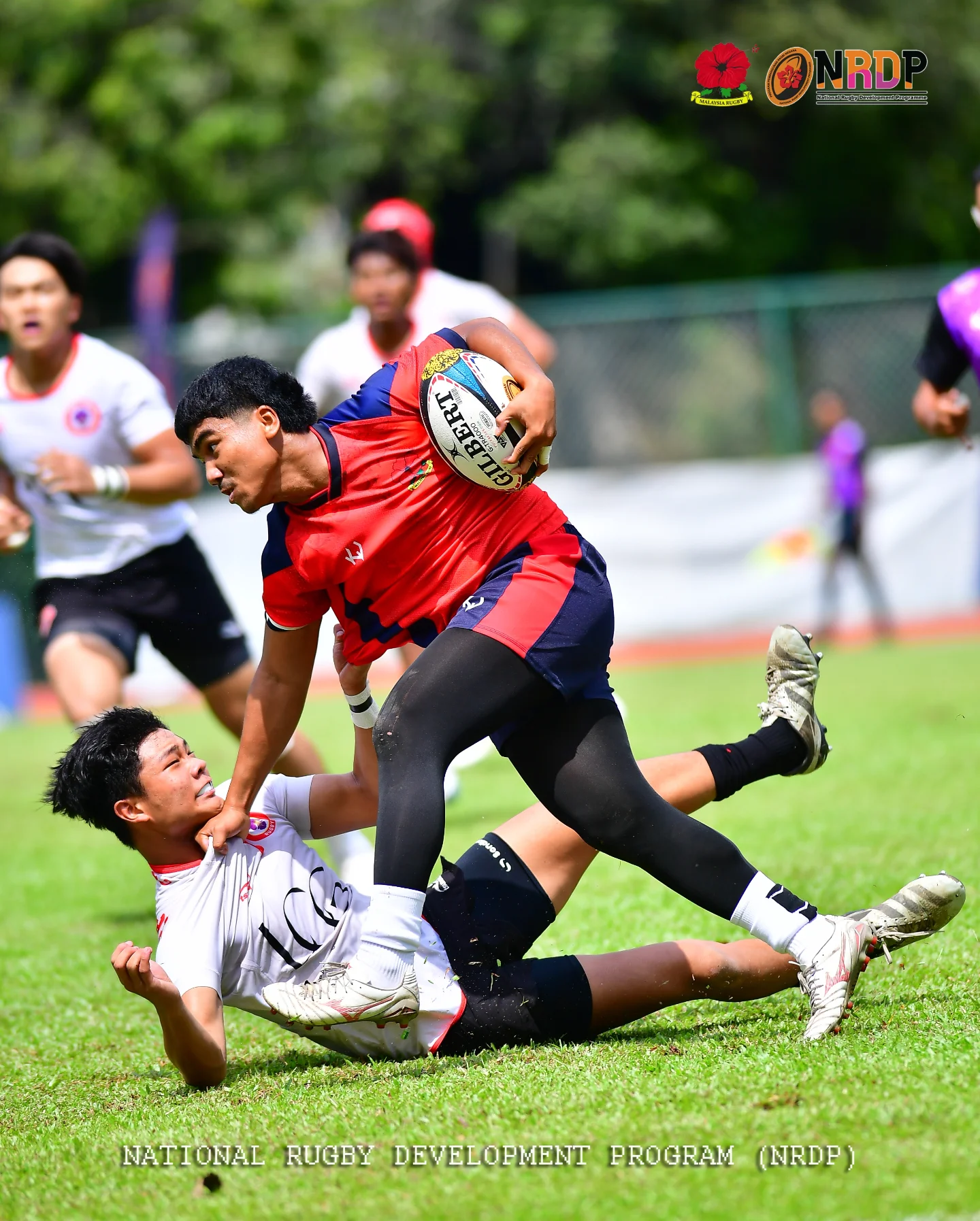 NRDP Malaysia