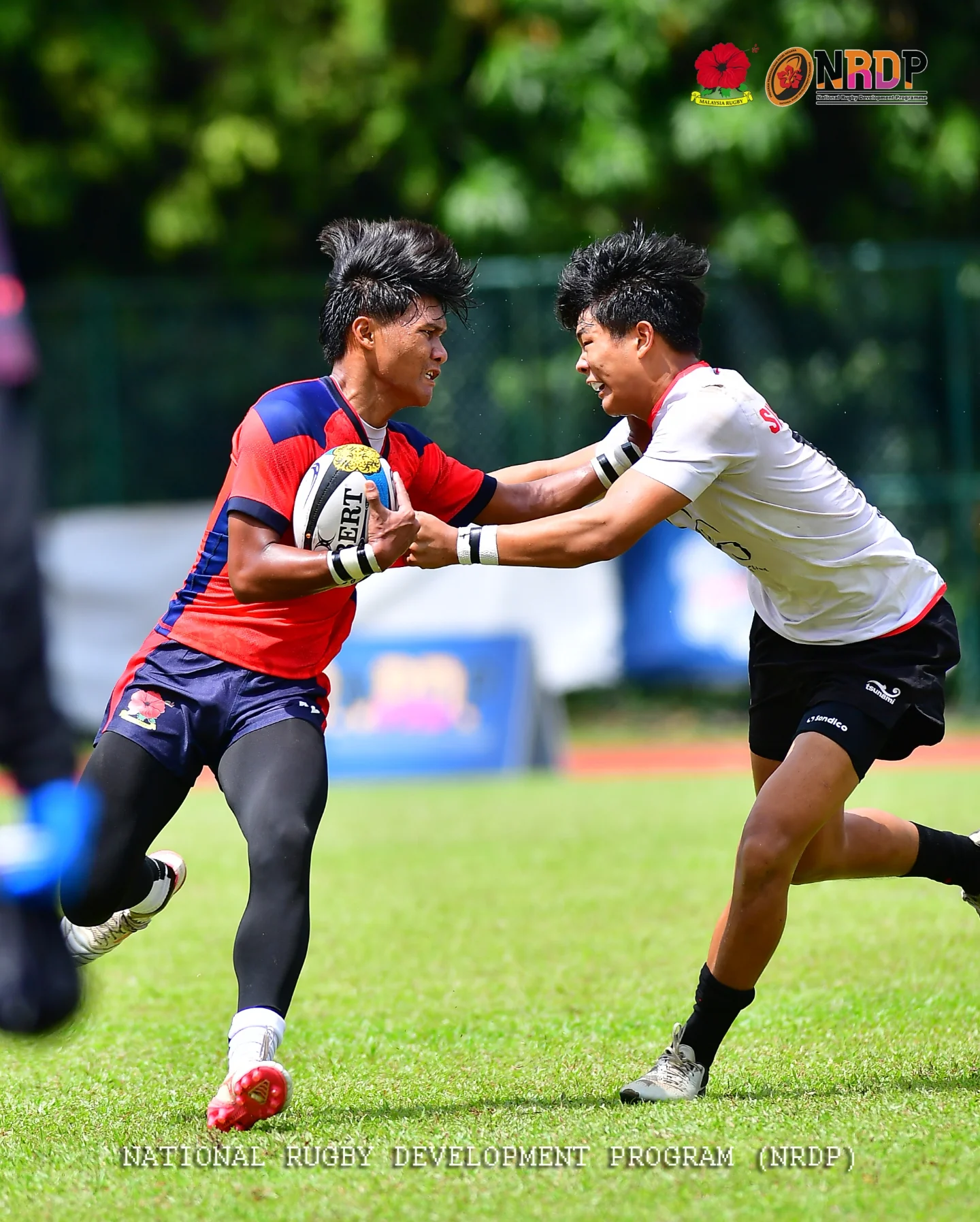 NRDP Malaysia