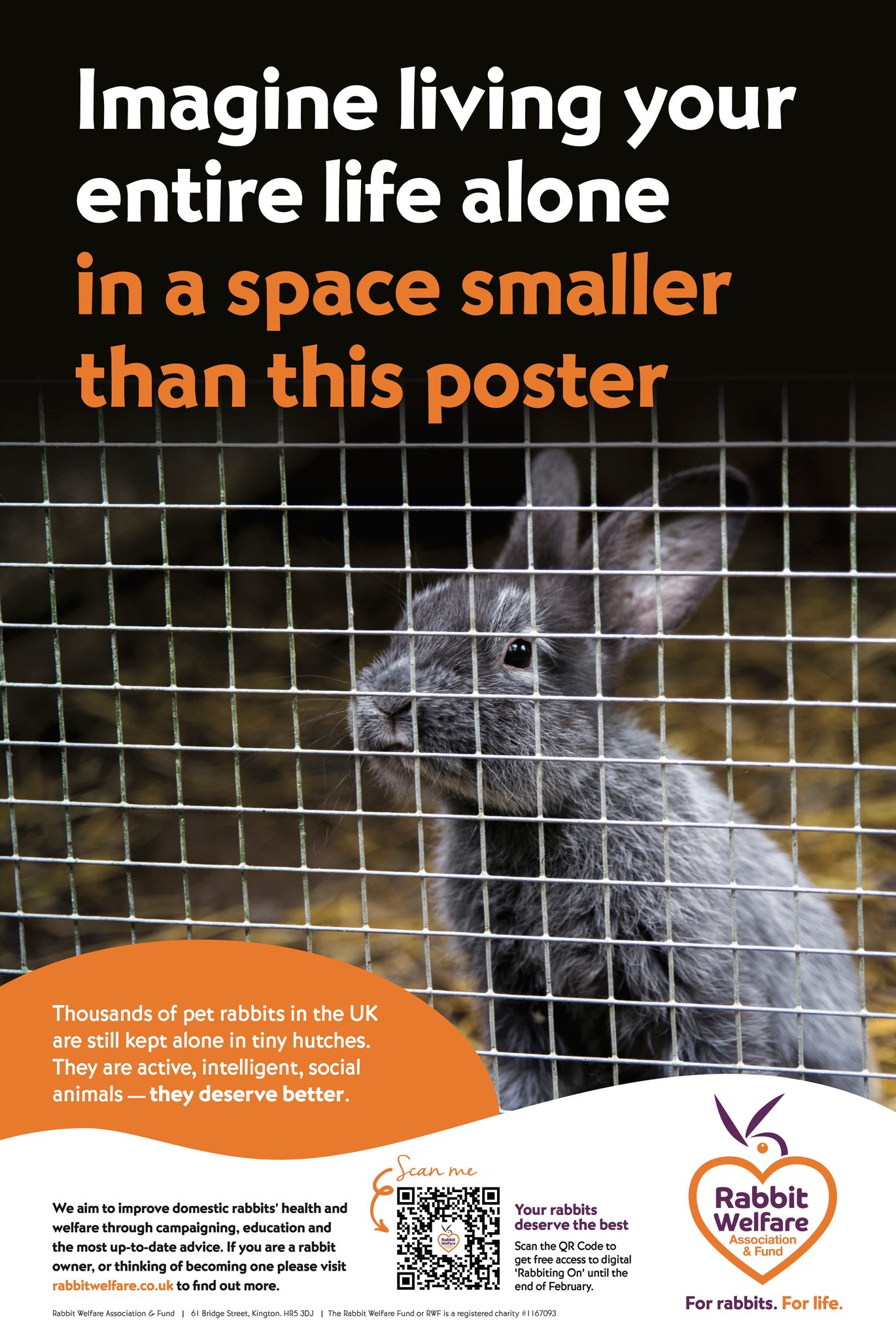 The Rabbit... - The Rabbit Welfare Association and Fund