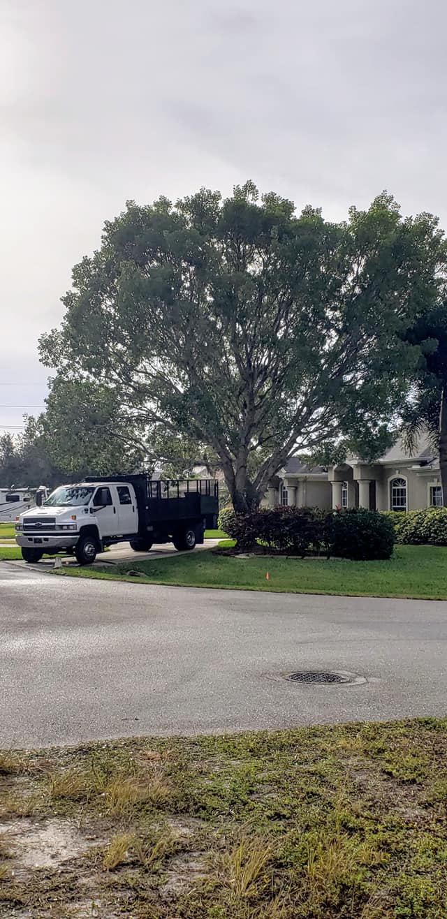 B.E Ross Landscape design & Tree services Inc.