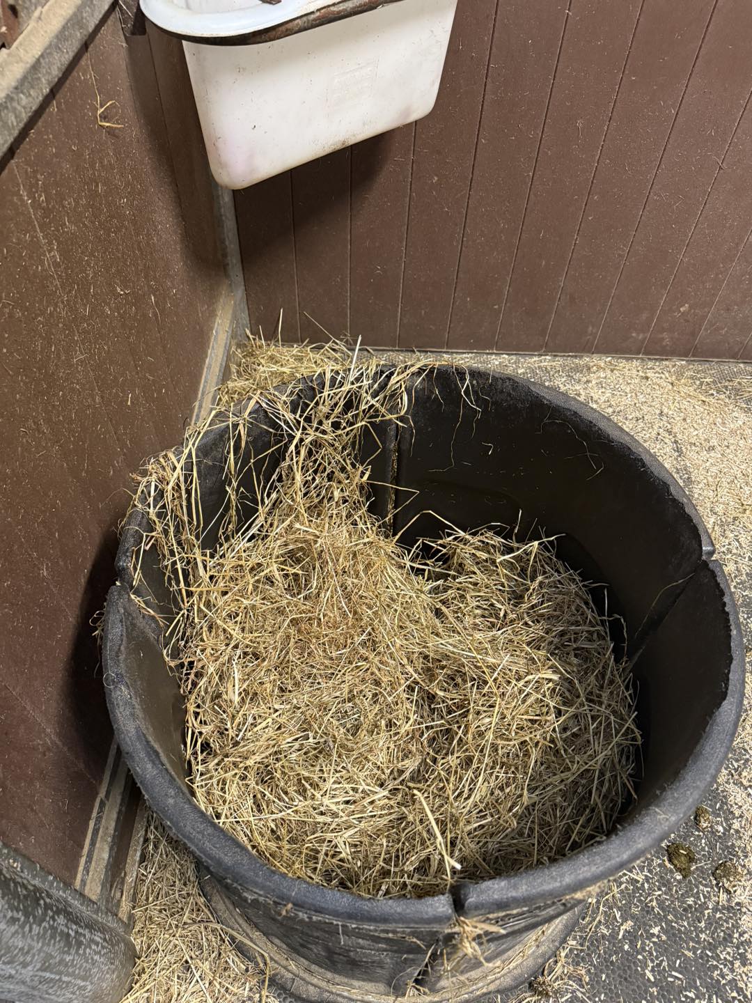Just a... - South Coast Equine Vets/Natalie McGoldrick Equine | Facebook