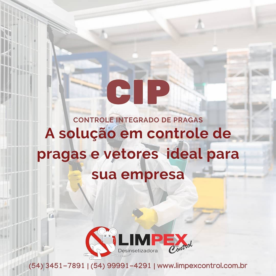 Procurando soluções em... - Limpex Control Desinsetizadora | Facebook