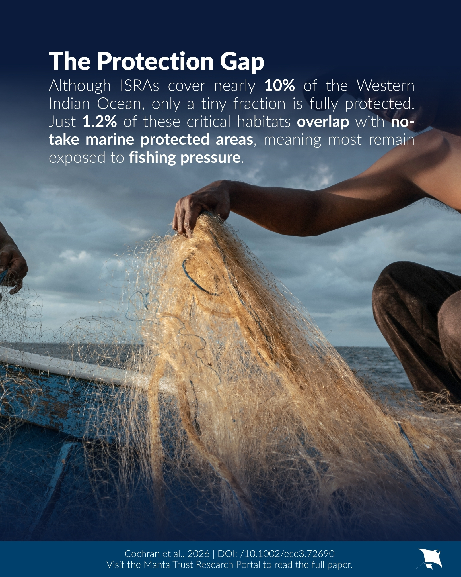 Manta - 📣 New Research Alert! ️ A new study led by the IUCN SSC Shark ...