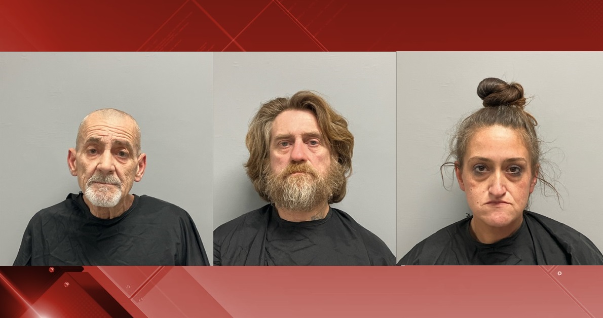 WDBJ7 - Three people have been arrested after a search led to narcotics ...