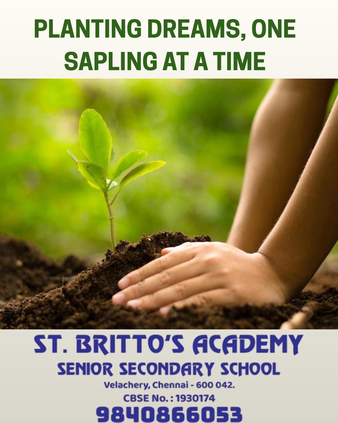 🌱 Planting... - St Britto's Academy Senior Secondary School | Facebook