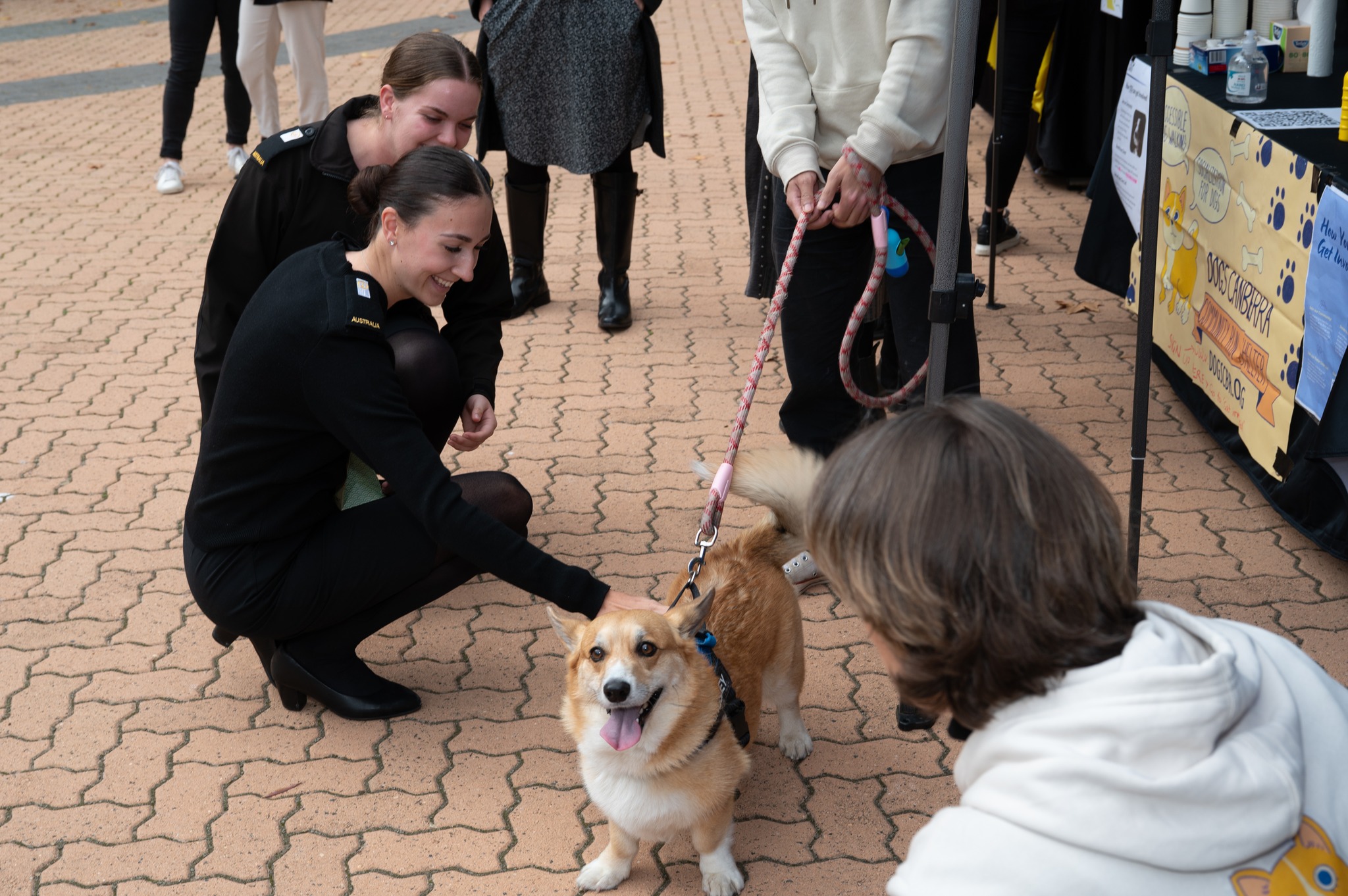 UNSW Canberra - University Mental Health Day 💛 The UNSW... | Facebook
