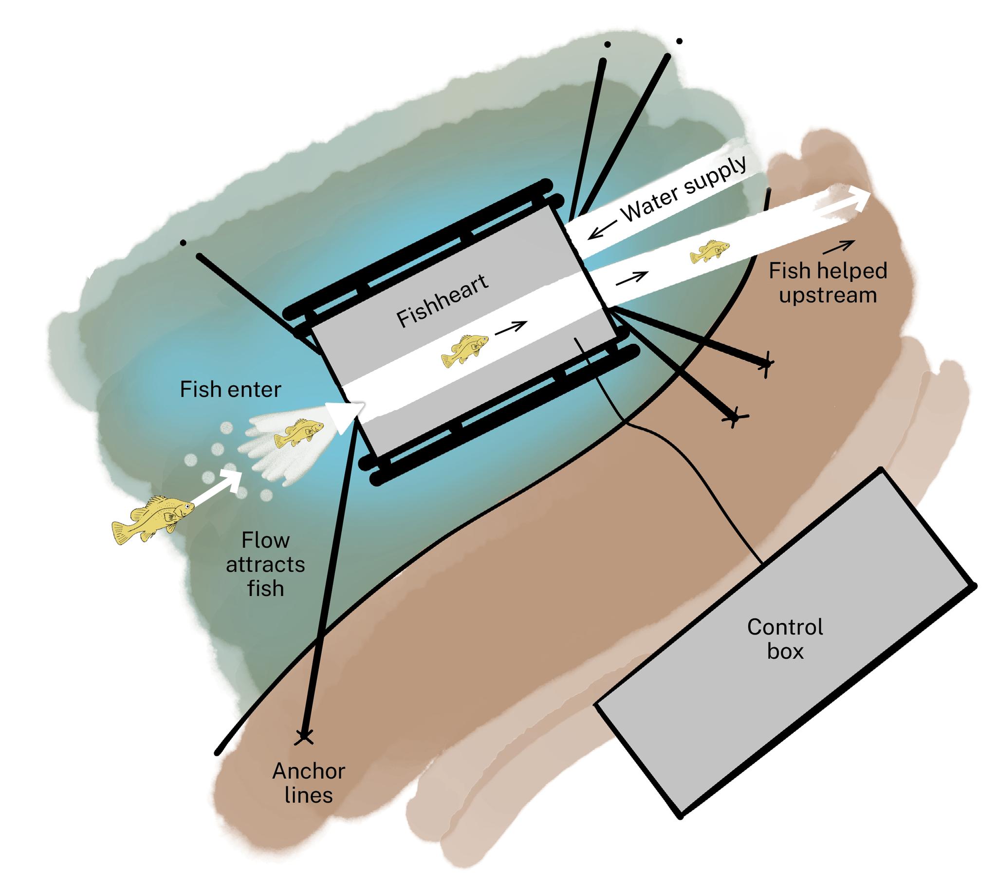 Fish Habitat Network