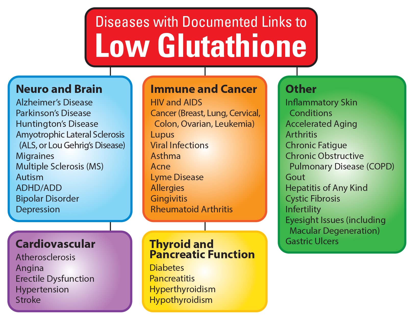 glutathione synthesis deficiency and heart disease Is elevated a sign of impaired recycling? SKIN ELASTICITY