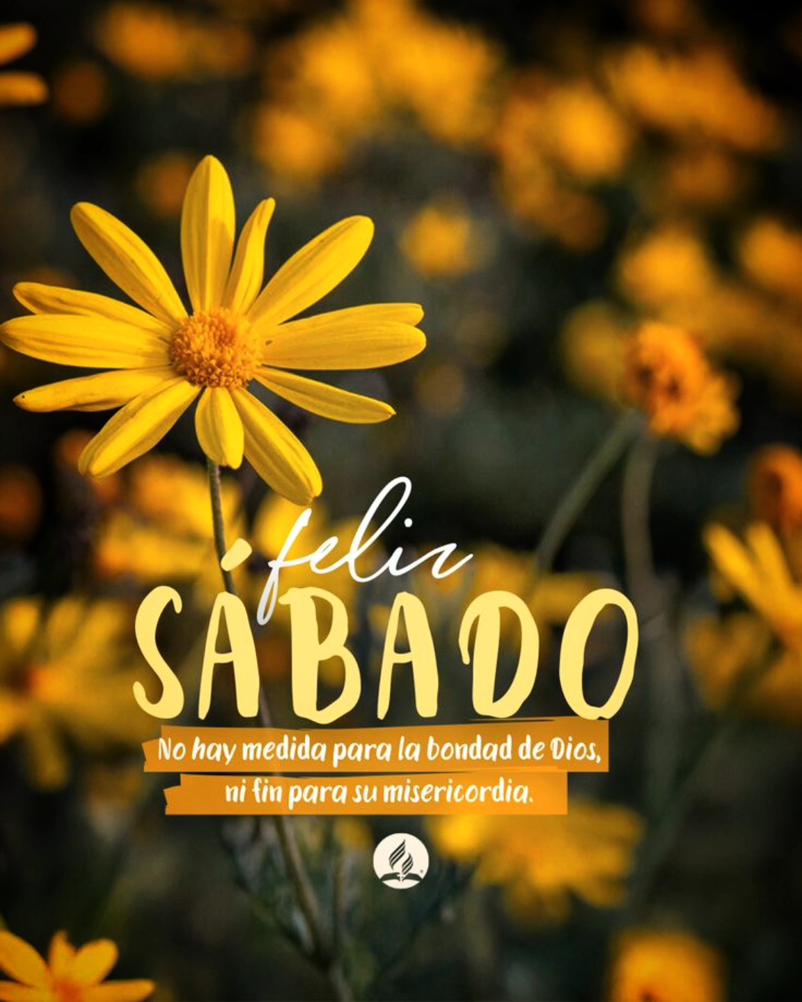 Adventistas - Feliz Sábado querida familia, que tengan una noche ...