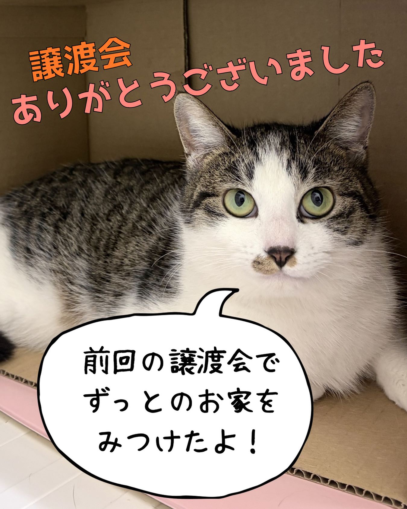 名古屋市動物愛護センター | Nagoya-shi Aichi