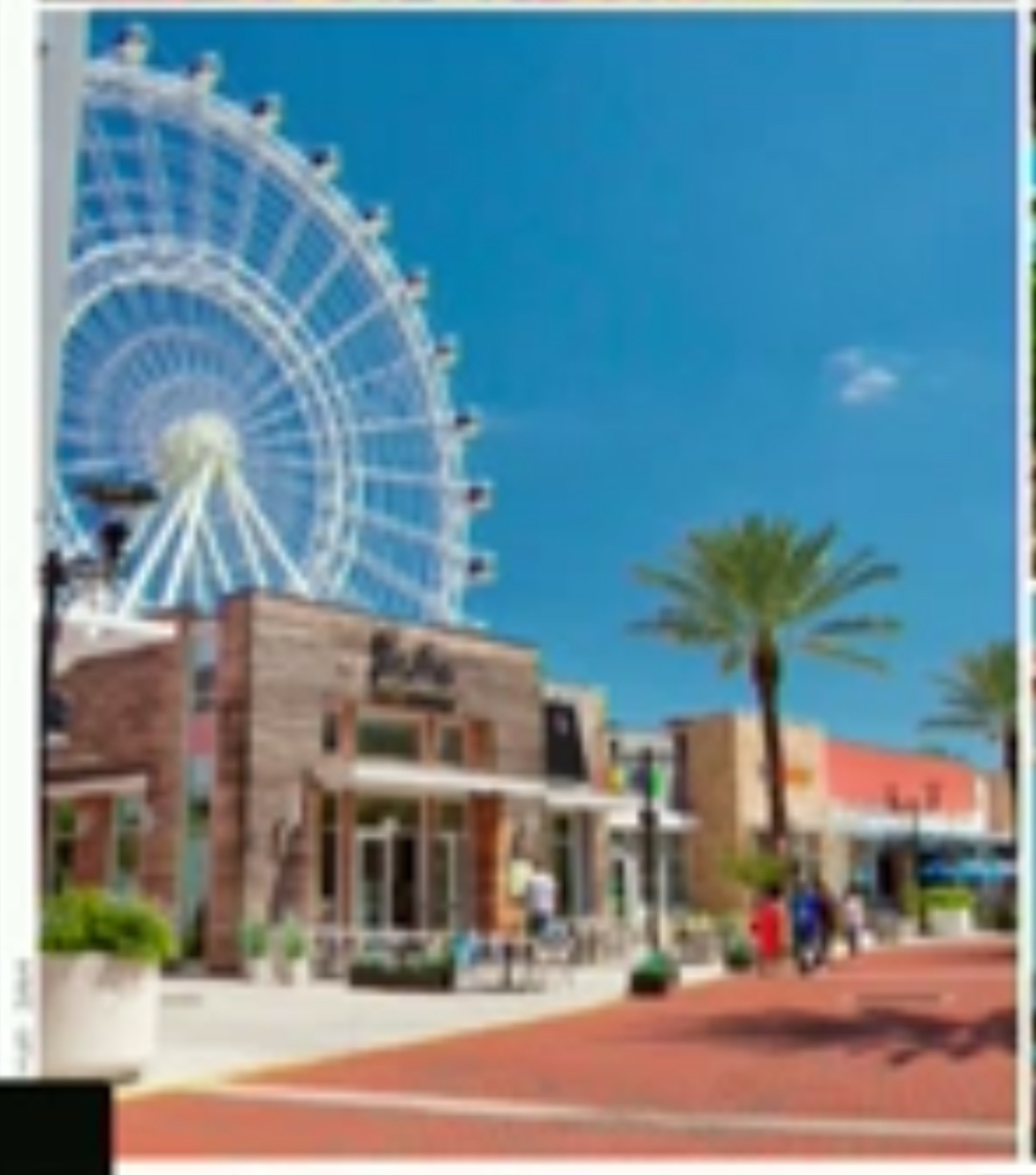 Joe Ricco City Council South Padre Island TX