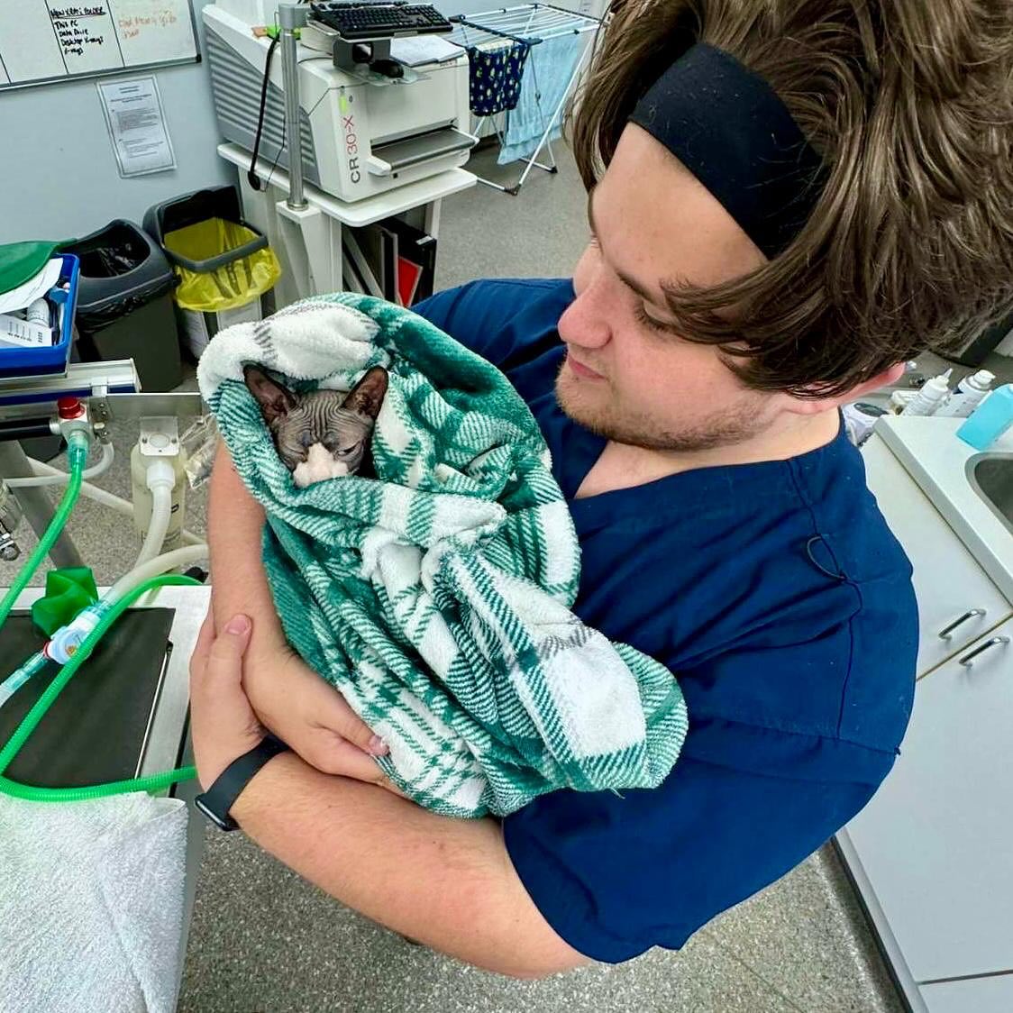 Meet Jacob 😸 Jacob joined the team... - Vets4Pets Woolwell | Facebook