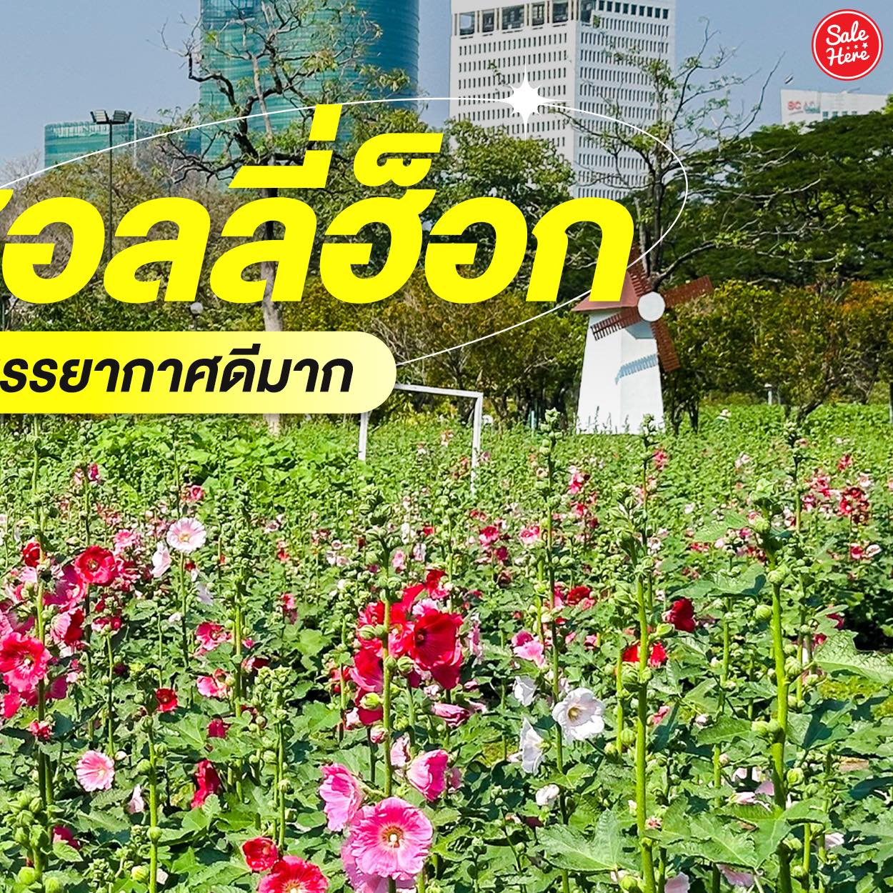 Sale Here - Super Proof Matte Shadow อายแชโดว์เนื้อลิควิดแมทท์ ติดแน่น ...