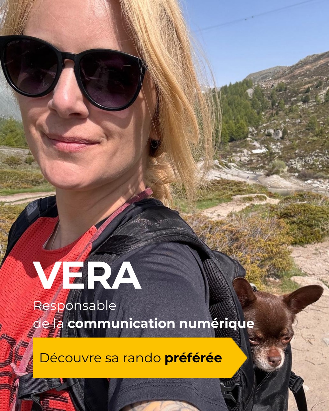 Schweizer Wanderwege... - Schweizer Wanderwege - Suisse Rando
