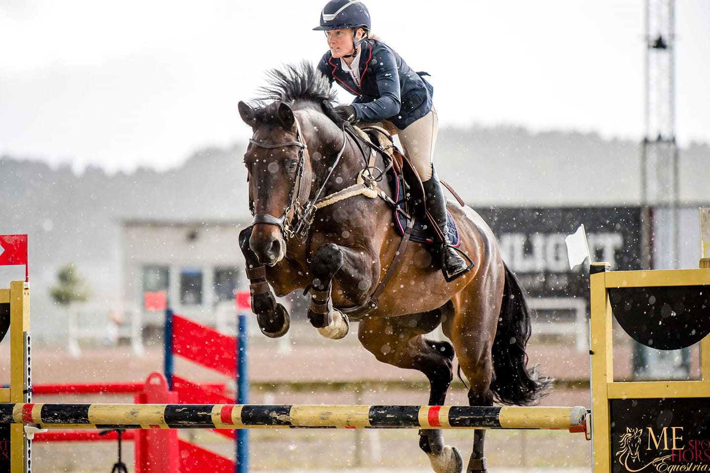 Happy Horse Happy rider 😅💥 Narolide e Falaise de Muze - Namelus R ...