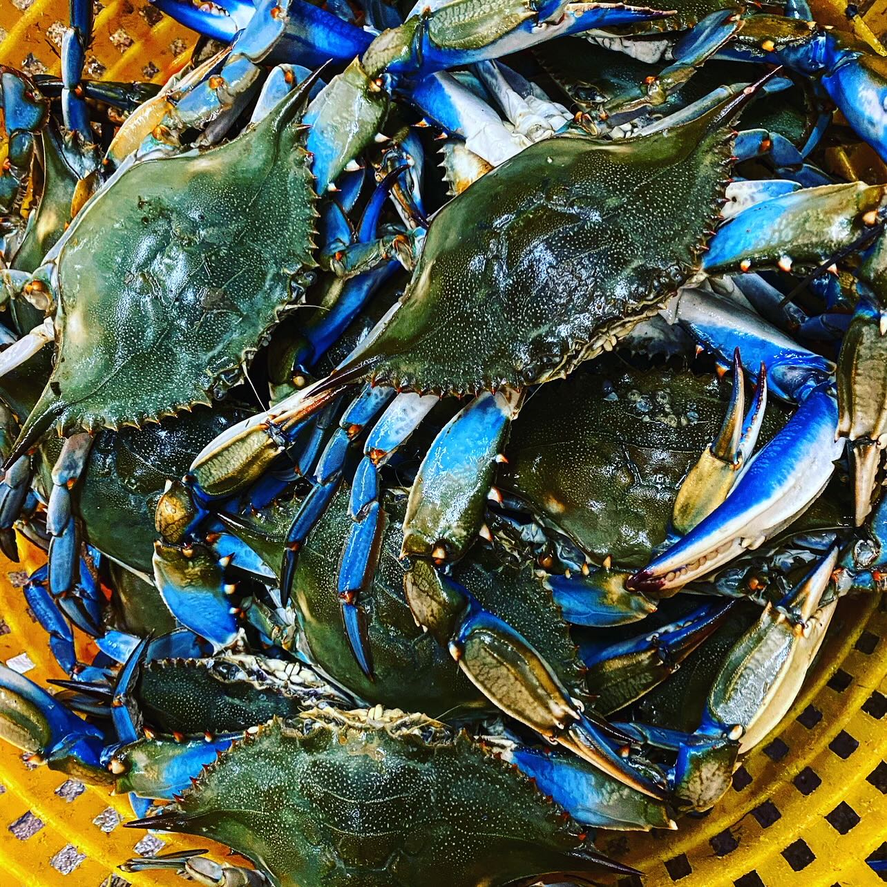 Higgins - 🦀 All You Can Eat Crabs — just $59.99 per person! 🧤 Come ...