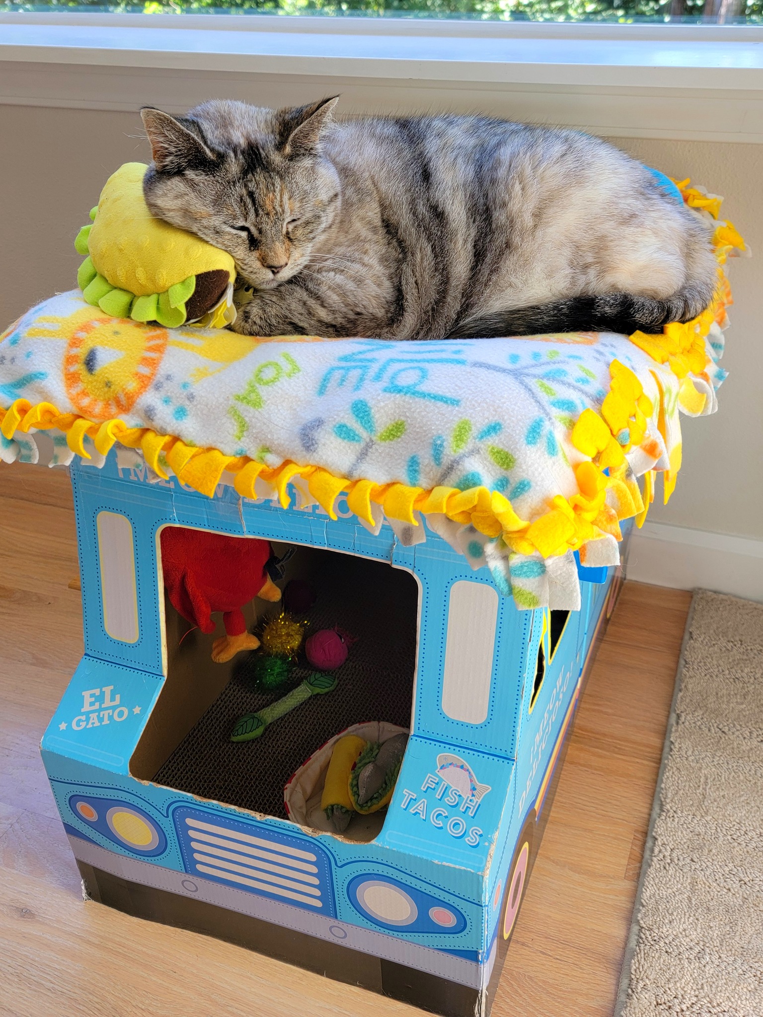 elgato fish tacos cat box PAWVISH Food Truck Cardboard House and Scratcher, Play House, Scratching Pad, Corrugated Hideaway Cave, Cute Kitty Condos Box, Bed for Indoor Cats, Kittens, Bunny, Fur Babies : Pet Supplies Pippin - Must have been