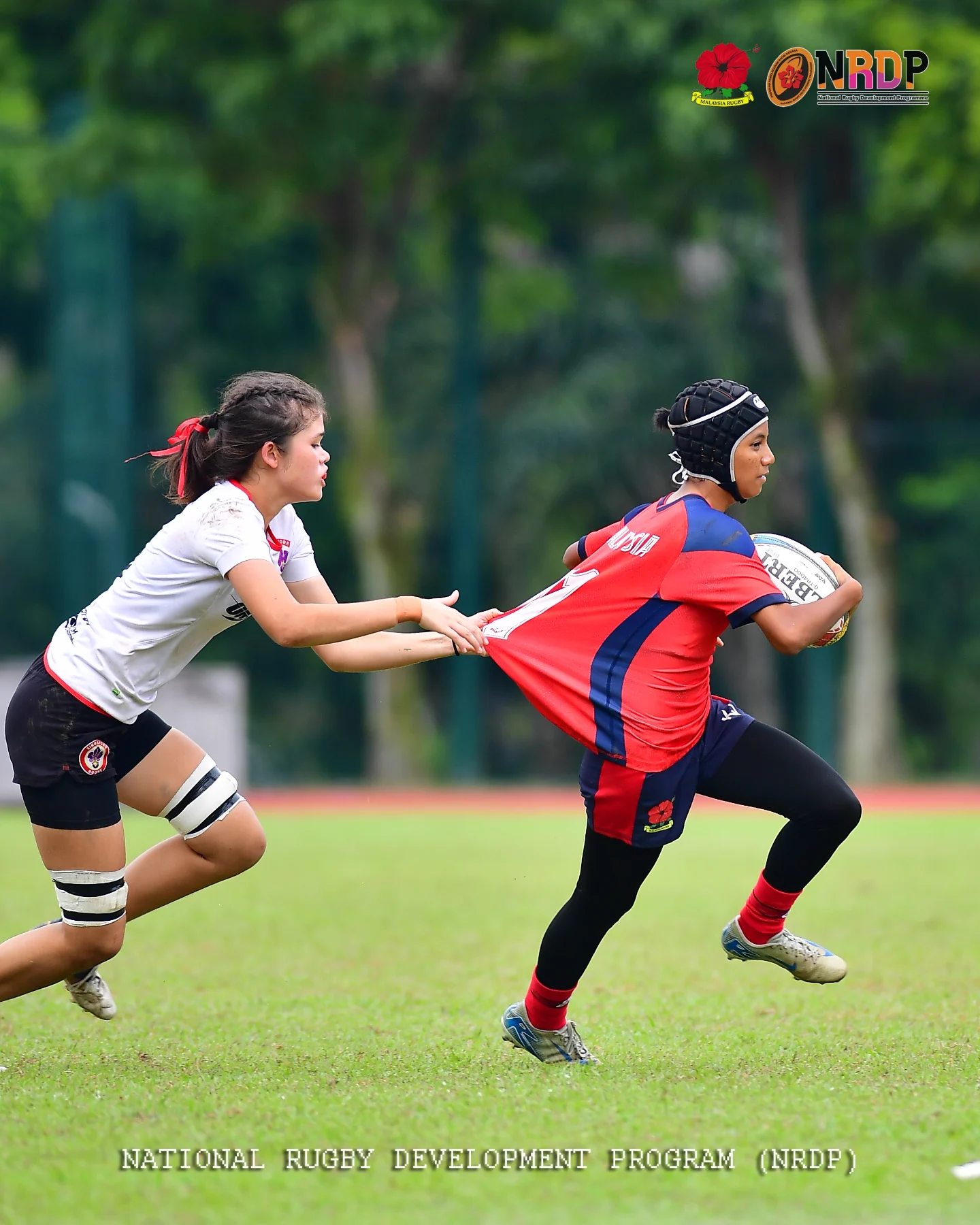 NRDP Malaysia
